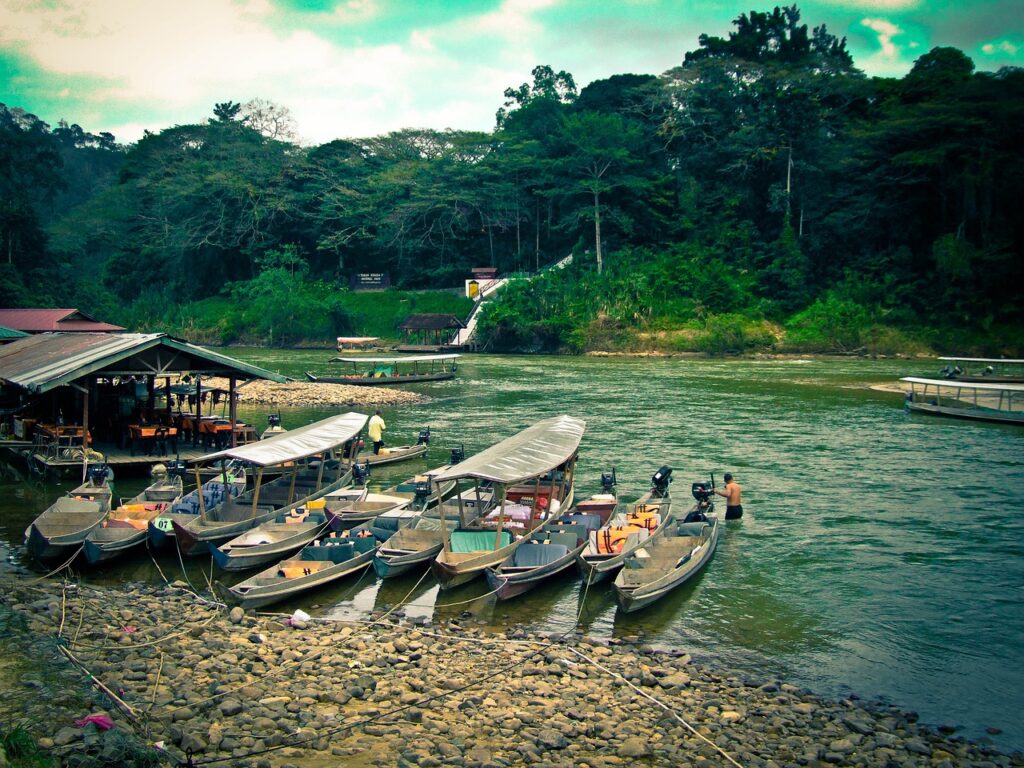 ジャングル河川