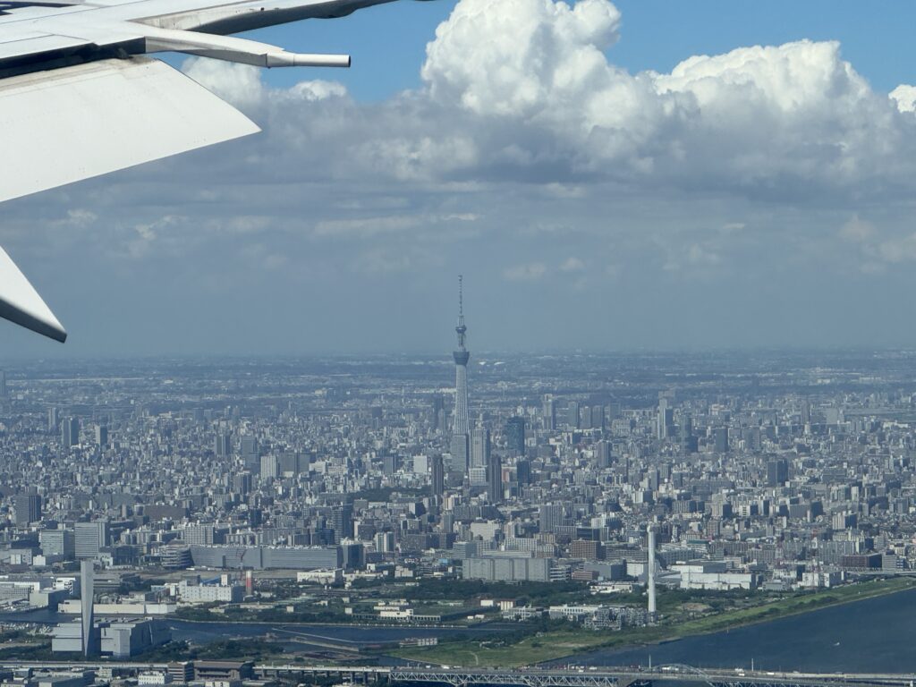 上空から眺めるスカイツリー